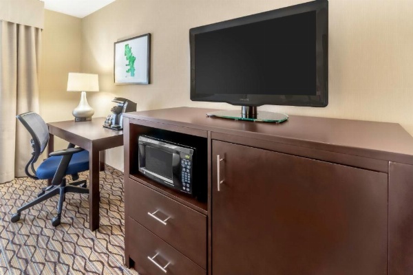 Holiday Inn Milwaukee Airport, an IHG Hotel image 21